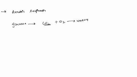 which-of-the-listed-statements-describes-the-results-of-the-following-reaction-c-6-h-12-o-6-6-o-2-6-co-2-6-h-2-o-energy-a-c-6-h-12-o-6-is-oxidized-and-o-2-is-reduced-b-o-2-is-oxidized-and-h-83354