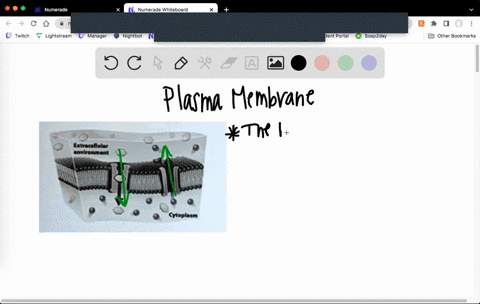 the-following-figure-shows-the-movement-of-solutes-across-plasma-membrane-in-the-direction-indicated-by-the-arrows-this-movement-across-the-membrane-aennennnian-auulrenauan-cytoplatn-0-kanex-07884