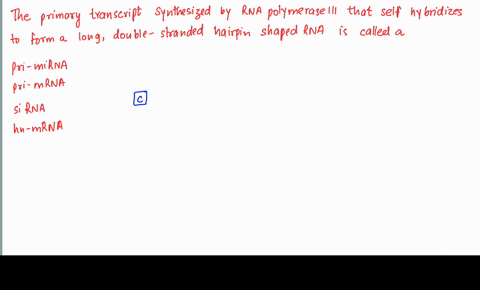 the-primary-transcript-synthesized-by-rna-polymerase-ii-that-self-hybridizes-to-form-a-long-double-stranded-hairpin-shaped-rna-is-called-a-____________prior-to-processing-a-pri-mirna-b-pri-m-50064