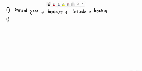 experiment-genetic-drift-experiment-inventory-beads-in-beaker-1-from-experiment-1-beads-in-beaker-2-from-experiment-1-experiment-2-genetic-drift-genetic-drift-the-variation-in-the-gene-pool-13887