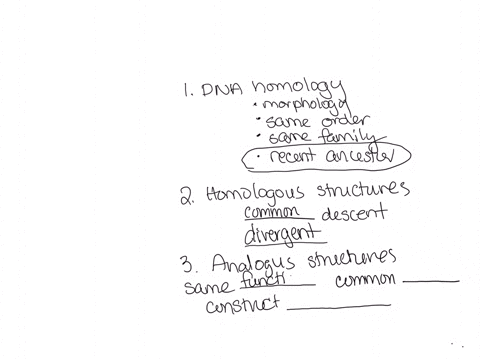 1-which-statement-represents-the-best-explanation-for-the-observation-that-the-nuclear-dna-of-wolves-and-domestic-dogs-has-a-very-high-degree-of-homology-athey-have-similar-morphologies-bthe-95414