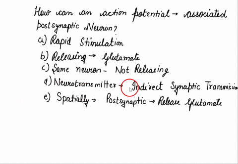 based-on-the-background-information-which-of-the-following-is-a-mechanism-by-which-an-action-potential-is-least-likely-to-occur-in-the-associated-postsynaptic-neuron-summation-of-ionic-event-87042