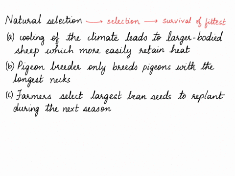 which-is-an-example-of-natural-selection-group-of-answer-choices-a-cooling-of-the-climate-leads-to-larger-bodied-sheep-which-more-easily-retain-heat-a-pigeon-breeder-only-breeds-pigeons-with-11325
