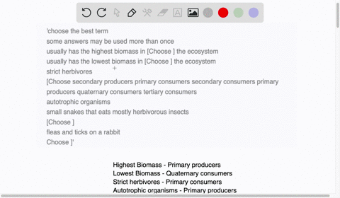 choose-the-best-term-some-answers-may-be-used-more-than-once-usually-has-the-highest-biomass-in-choose-the-ecosystem-usually-has-the-lowest-biomass-in-choose-the-ecosystem-strict-herbivores-71501