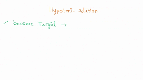 in-a-hypotonic-solution-a-plant-cell-will-______-in-a-hypotonic-solution-a-plant-cell-will-______-burst-become-flaccid-become-turgid-undergo-plasmolysis-86605