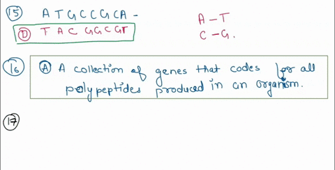 atgccgca-what-is-the-sequence-of-its-complementary-15-if-the-sequence-of-a-segment-of-dna-strund-atgccgca-gcattatg-tgcggcat-tacggcgt-none-of-the-above-what-is-genome-collection-of-genes-that-97087