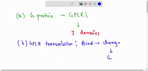 2-metabotropic-receptors-g-protein-coupled-recptorsa-explain-the-structure-of-g-protein-coupled-receptors-b-what-are-the-general-steps-involved-in-transmission-at-these-receptors-c-describe-32642