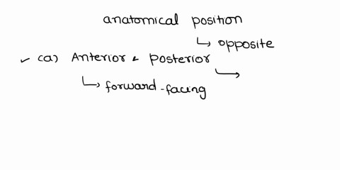 help-ill-give-u-brainiest-which-of-the-following-anatomical-directions-are-opposites-a-anterior-and-posterior-b-posterior-and-superior-c-anterior-and-superior-d-posterior-and-inferior-45026