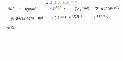 explain-the-presence-of-thymine-5-methyl-uracil-in-dna-rather-than-uracil-the-corresponding-rna-base-52403
