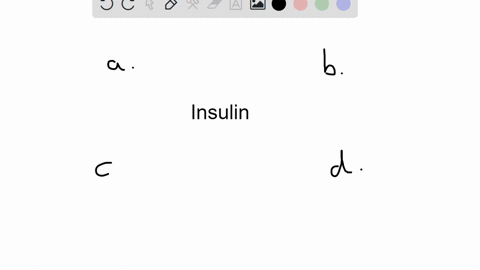 nhich-of-the-following-statements-is-true-basolateral-gluts-transporter-moves-glucose-out-of-the-intestinal-epithelial-cell-fructose-moves-across-the-apical-membrane-by-active-transport-gluc-79665