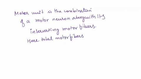 what-is-the-correct-answer-multiple-choice-1-suppose-a-vertebrate-muscle-has-1000-muscle-fibers-and-the-nerve-innervating-the-muscle-contains-100-motor-neurons-each-motor-neuron-innervating-68388