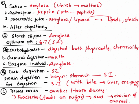 please-answer-all-i-will-give-thumbs-up-l-what-are-the-enzymes-that-can-be-found-mainly-in-the-saliva-gastric-juice-and-pancreatic-juice-what-are-the-substrates-of-these-enzymes-once-digeste-13793