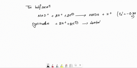 the-standard-reduction-potential-for-the-nadinadh-is-0320-v-and-the-standard-reduction-potentia-for-the-pyruvatellactate-is-0185v-what-is-the-standard-free-energy-change-ago-for-the-lactate-54833
