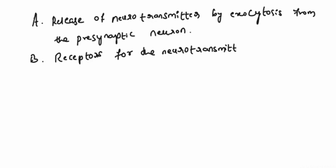 which-of-the-following-are-characteristics-of-a-chemical-synapse-choose-all-that-apply-2-points-a-release-of-neurotransmitter-by-exocytosis-from-the-presynaptic-neuron-b-receptors-for-the-ne-07537