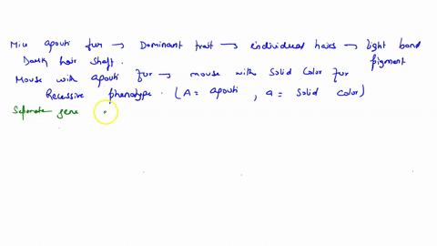question-9-156-pts-in-mice-agouti-fur-is-dominant-trait-resulting-in-individual-hairs-having-a-light-band-of-pigment-on-an-otherwise-dark-hair-shaft-a-mouse-with-agouti-fur-is-shown-here-alo-99167
