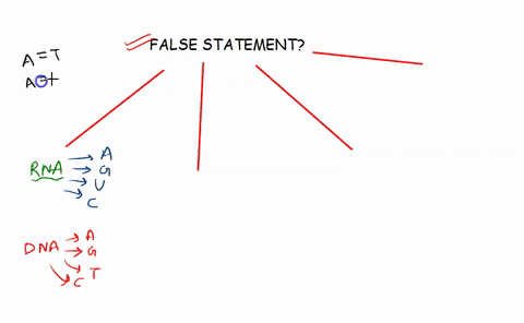 which-of-the-following-statements-is-false-rna-has-uracil-as-one-of-its-nitrogen-bases-while-dna-does-not-rna-has-ribose-sugar-in-its-nucleotide-while-dna-has-deoxyribose-sugar-there-are-thr-04948