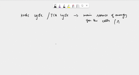 what-are-the-reactants-of-the-krebs-cycle-06538