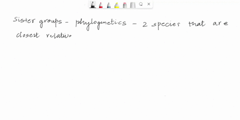 what-are-sister-groups-question-options-a-two-groups-of-species-that-have-a-unique-common-ancestor-b-all-of-the-female-members-of-a-species-c-in-phylogenetic-the-opposite-of-brother-groups-d-71388