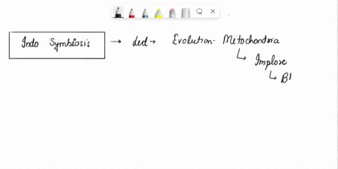 question-1-1-pts-you-are-a-scientist-that-studies-transcription-you-have-been-recently-isolating-and-studying-mrna-from-e-coli-a-bacterium-and-mrna-from-bakers-yeast-an-eukaryote-you-discove-31845