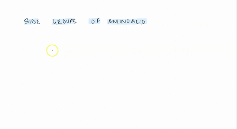 the-side-groups-of-amino-acids-group-of-answer-choicesare-only-found-in-plant-proteinsgive-a-protein-its-unique-shape-and-propertiescome-in-an-infinite-number-of-varietiesare-not-important-f-18362