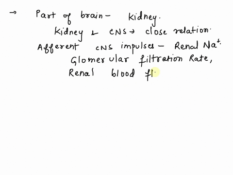 the-part-of-the-brain-that-controls-the-action-of-thekidneys-06043