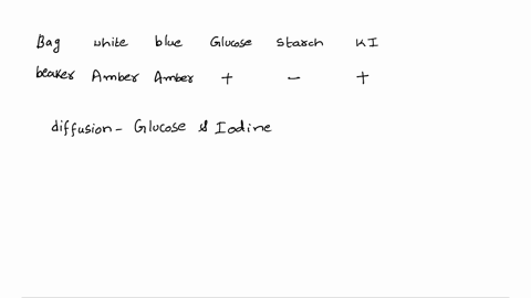 question-14-this-are-results-you-should-have-after-today-experiment-with-dialysis-bag-resultsof-experiment-investigatingthe-permeability-of-dialysis-tubing-to-glucose-i2ki-and-stareh-solutio-23445