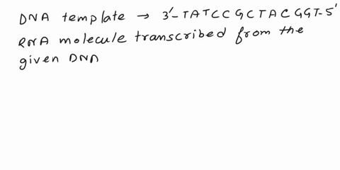 please-answer-fully-and-explicitly-this-is-my-10th-attempt-and-i-cannot-get-it-correct-question-4-retaken-01point-the-following-diagram-represent-dna-that-is-part-of-the-rna-coding-sequence-35293