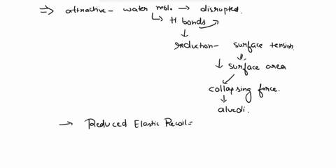the-lungs-are-lined-by-a-thin-film-of-water-this-water-has-a-high-surface-tension-that-creates-a-collapsing-force-with-the-lung-the-collapsing-force-inside-the-alveoli-is-important-for-elast-05753