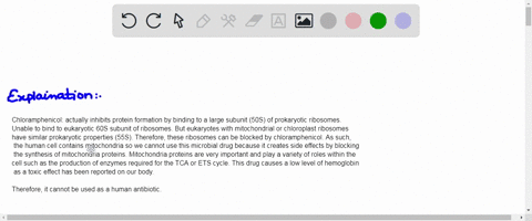 8-chloramphenicol-binds-to-bacterial-ribosomes-and-is-a-potent-inhibitor-bacterial-protein-synthesis-but-it-does-not-inhibit-the-cytosolic-ribosomes-in-eukaryotes-however-because-of-its-seve-91276