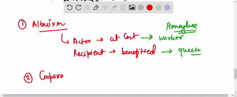 an-interaction-where-the-actor-and-the-recipient-both-suffer-a-cost-is-referred-to-as-a-altruism-b-cooperation-cmutualism-d-spite