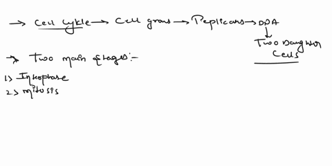 describe-the-cell-cycle-and-identify-some-factors-that-affect-it-and-explain-the-significance-of-apoptosis-60388