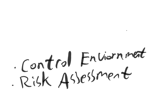 what-are-internal-controls-in-company-questionnaires