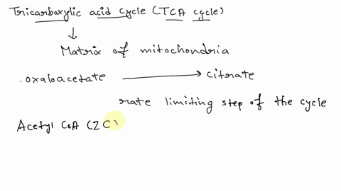 in-the-presence-of-saturating-amounts-of-oxaloacetate-the-activity-of-citrate-synthase-from-pig-heart-tissue-shows-sigmoid-dependence-on-the-concentration-of-acetyl-coa-when-succinyl-coa-is-69495
