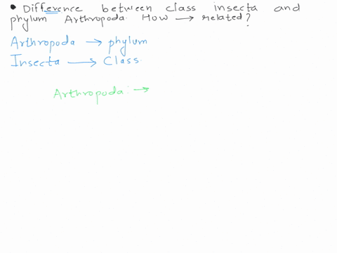 explain-the-differences-between-the-class-insecta-and-phylum-arthropoda-how-are-these-two-terms-class-insecta-and-phylum-arthropoda-related-80614