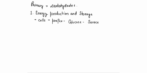 describe-3-functions-carbohydrates-on-proteins-are-known-to-carry-out-39488