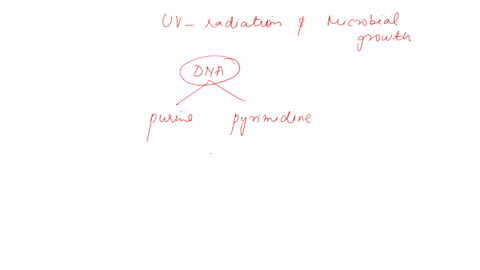 in-the-experiment-on-uv-radiation-and-microbial-growth-indicate-which-of-the-organisms-tested-was-harmed-the-most-after-uv-exposure-explain-why-this-may-have-been-the-case_-edit-vicw-insert-68782