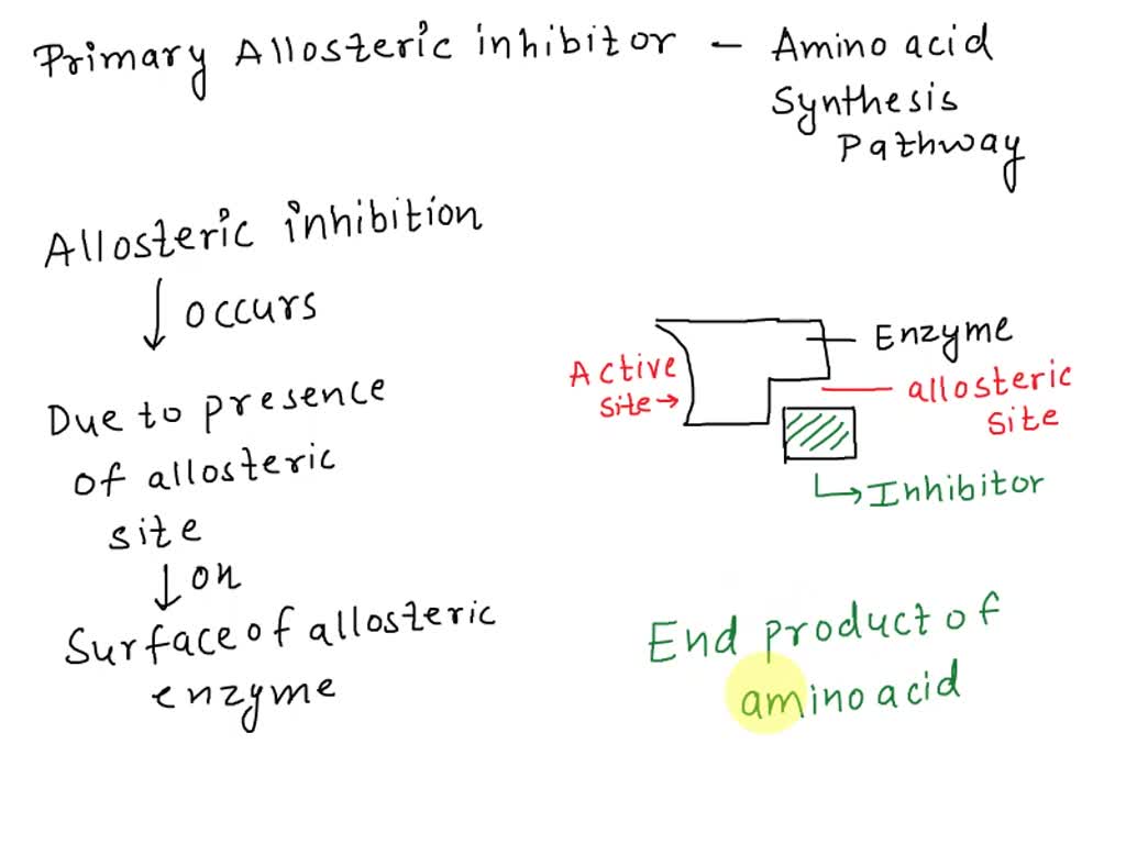 SOLVED: What is the primary allosteric inhibitor of amino acid ...
