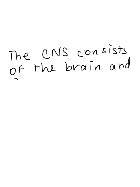 the-central-nervous-system-______-a-consists-of-the-brain-and-b-is-responsible-for-the-spinal-cord-f-64183