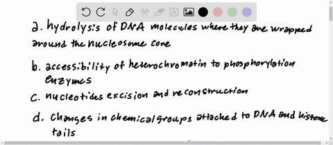 which-processes-contribute-to-the-dynamic-ability-of-chromatin-to-change-its-level-of-compaction-group-of-answer-choices-a-hydrolysis-of-dna-molecules-where-they-are-wrapped-around-the-nucle-18787
