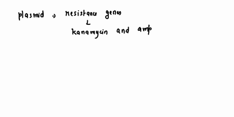 1-a-plasmid-has-the-antibiotic-resistance-genes-for-kanamycin-and-ampicillin-you-insert-foreign-dna-into-the-ampicillin-resistance-gene-e-coli-containing-the-recombinant-plasmid-plasmid-fore-35826