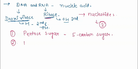 a-nucleotide-is-composed-of-select-one-a-a-nitrogenous-base-and-phosphate-group-b-a-nitrogenous-base-phosphate-group-and-pentose-sugar-c-a-nitrogenous-base-a-phosphate-group-pentose-sugar-an-22264
