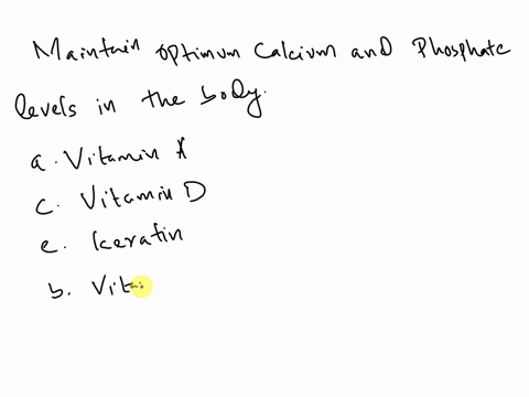 the-skin-helps-maintain-optimum-calcium-and-phosphate-levels-in-thebody-by-participating-in-the-production-ofa-vitamin-a-c-vitamin-d-e-keratinb-vitamin-b-d-melanin-90966