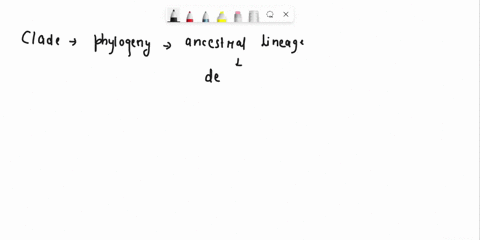 given-the-phylogenetic-tree-shown-abovo-which-of-ihe-lollowing-sels-ol-species-a-f-would-constitule-monophyletic-grouping-28037