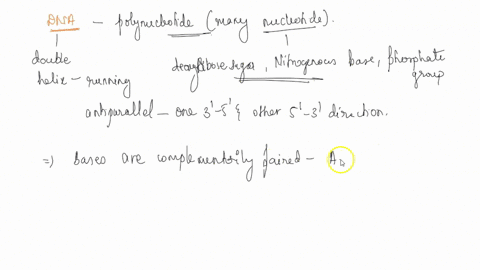 which-statement-about-the-structure-of-dna-is-true-read-each-statement-very-carefully-and-think-about-the-terminology-used-in-each-select-onedna-is-a-double-helix-formed-from-repeating-amino-33887