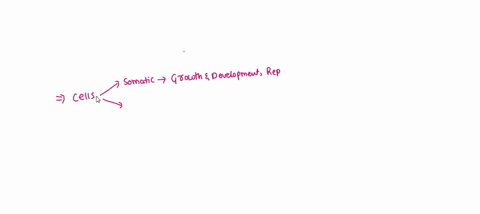 these-types-of-cells-are-found-in-the-reproductive-organs-and-are-called-_____-cells-a-gamete-b-body-98873