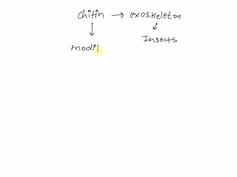 the-exoskeleton-of-many-insects-is-made-of-chitin-which-is-a-modified-form-of-what-food-material-27915
