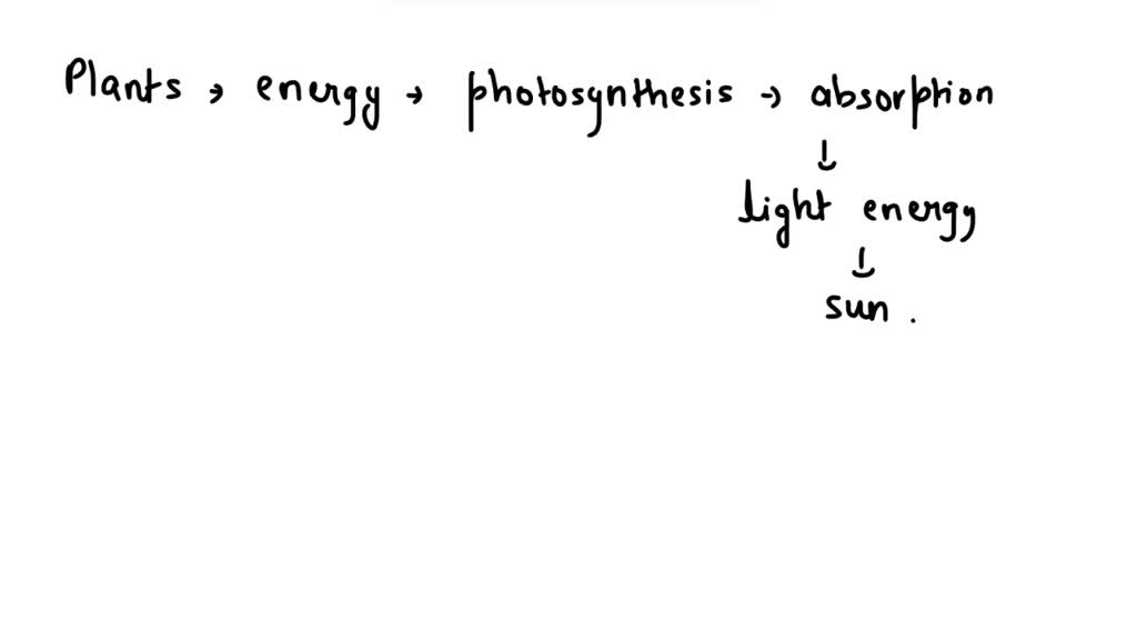 SOLVED: Which Particles Do Plants Absorb To Obtain Energy? A. Photons B ...