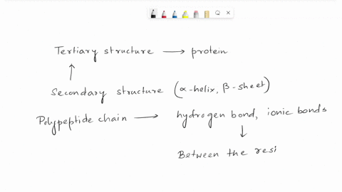 how-does-tertiary-structure-form-in-proteins-interactions-between-two-polypeptide-chains-b-chemical-interactions-between-the-side-chains-c-by-the-amino-acid-sequence-dionic-bonds-between-pho-27426
