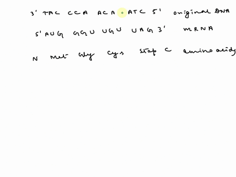 a-transcribe-and-translate-the-following-dna-label-any-nucleic-acids-with-their-5-and-3-endsb-using-the-dna-sequence-above-write-a-new-dna-sequence-from-3-to-5-that-incorporates-a-silent-mut-81085