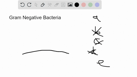 question-22-25-points-which-of-the-following-describes-the-correct-order-of-components-ofa-gram-negative-bacterial-cell-going-from-the-inside-of-the-cell-to-the-outside-cytoplasm-cytoplasmic-03976